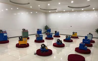China Shanghai Fanying Machinery Technology Co., Ltd. Unternehmensprofil